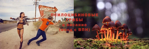 мяу мяу мука Гусь-Хрустальный