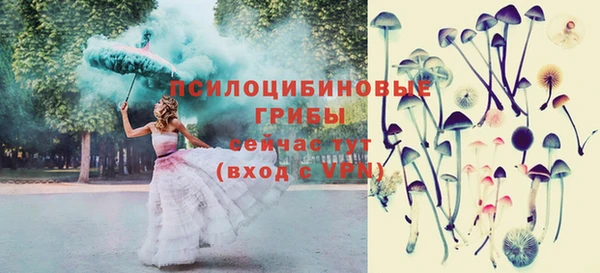 мяу мяу мука Гусь-Хрустальный
