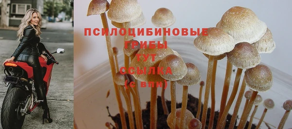 мяу мяу мука Гусь-Хрустальный