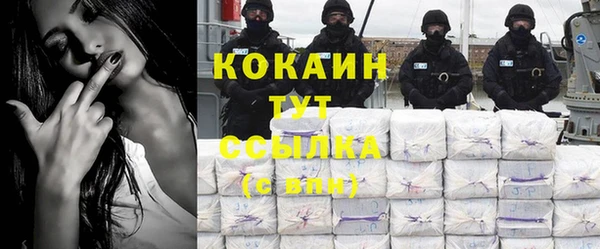 мяу мяу мука Гусь-Хрустальный