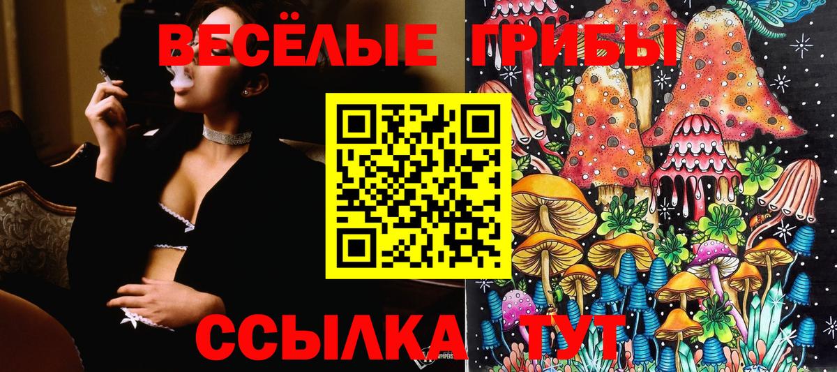 Псилоцибиновые грибы Cubensis Нефтеюганск